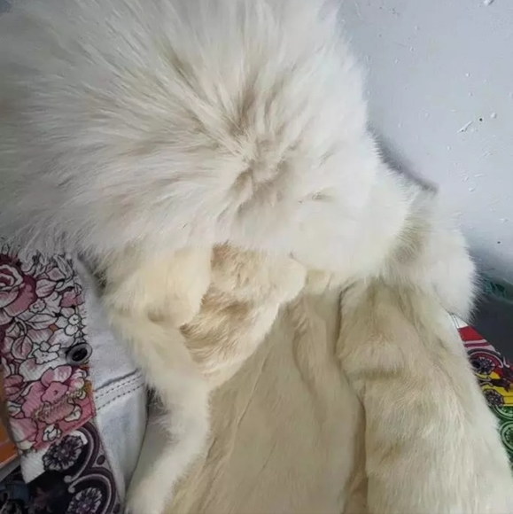 ❤️SOLD ♥️NWT Fur short is Embroidery Denim Jacket. XL. - Picture 14 of 15